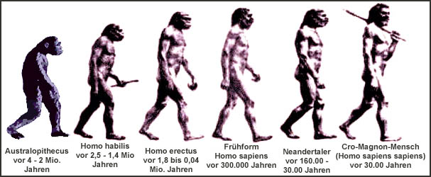 Mensch_entwicklung