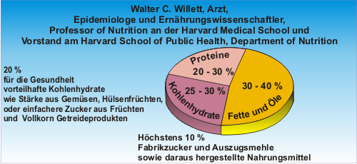 Walter Willett Ernaehrungsbilanz